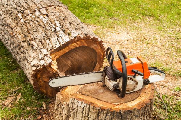 Tree Cutting Service in Pleasant Grove