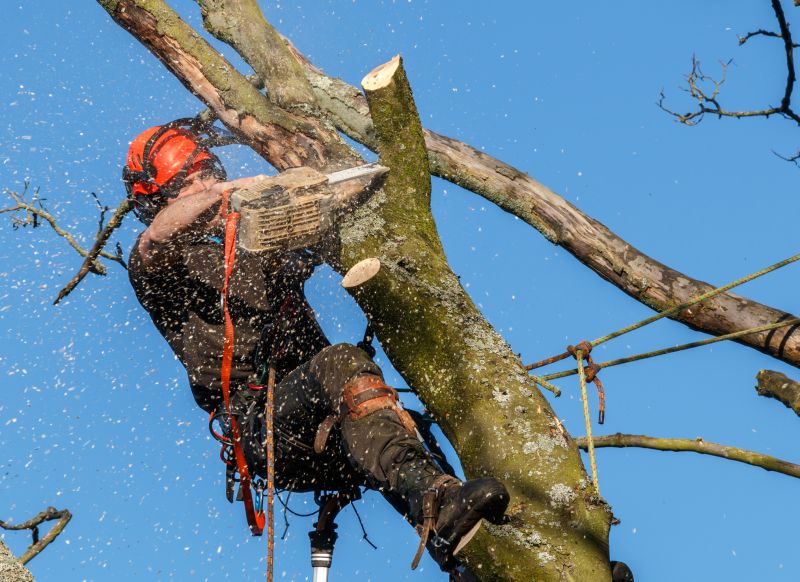 Equipment for Tree Care